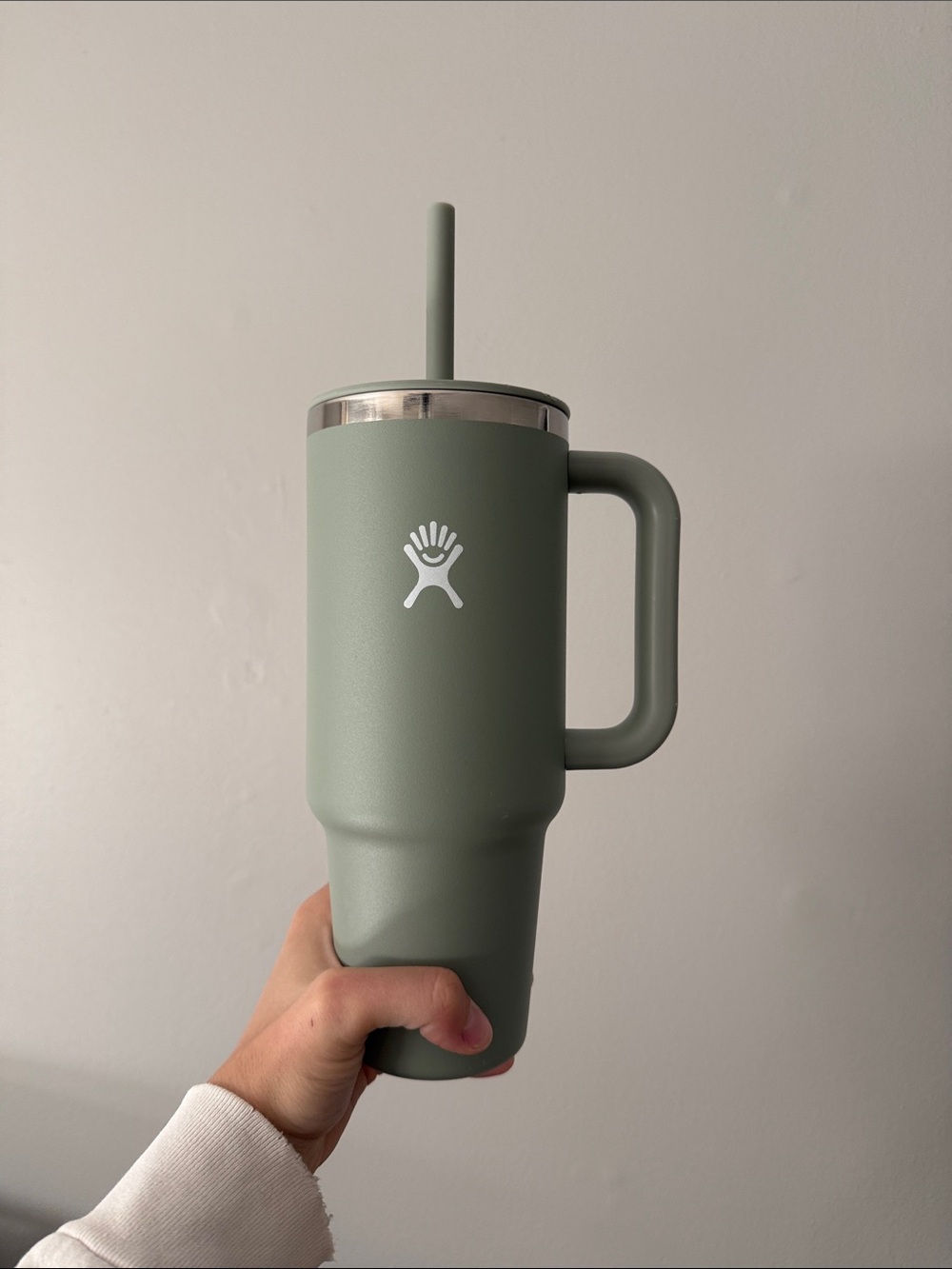 Hydro Flask Matte Sage Green Travel Tumbler with Handle & Straw